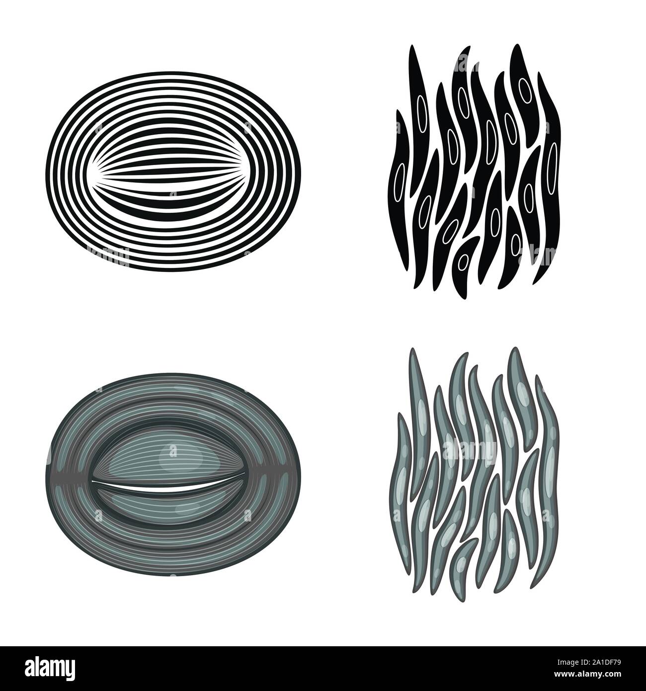 Vector Illustration der Faser und muskulös. Sammlung von Faser- und Körper Symbol für das Web. Stock Vektor