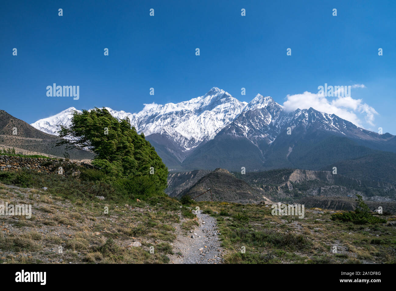 Mount Nilgiri, Mustang, Nepal Stockfoto
