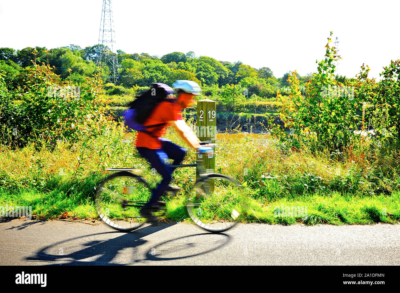 Radfahrer Beschleunigung entlang der Preston Guild Rad am Ufer des Flusses Ribble im Sommer Stockfoto