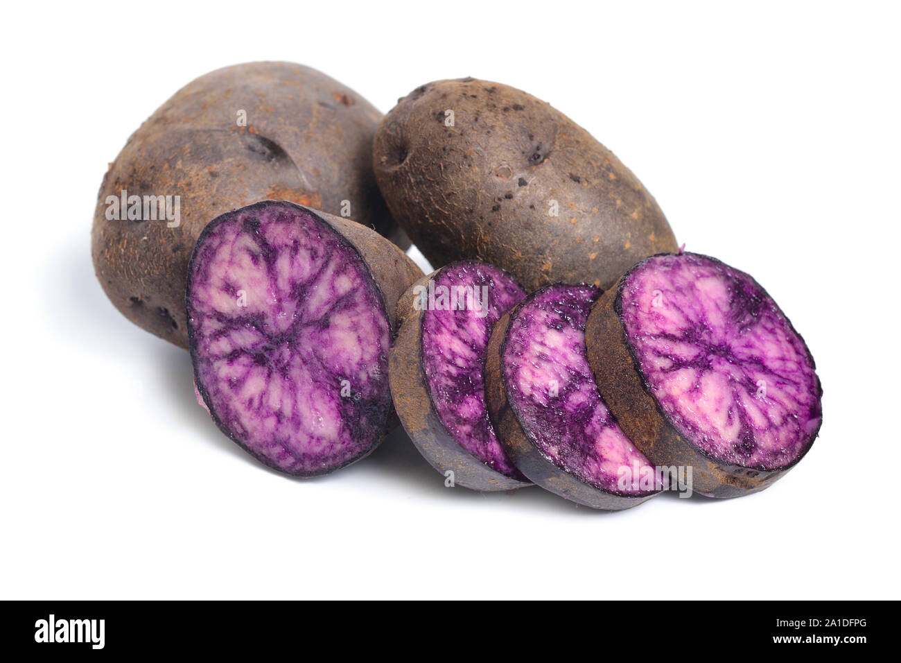 Kartoffel Vitelotte, auch Vitelotte noire, Negresse oder Truffe de Chine genannt. Auf weissem Hintergrund. Stockfoto