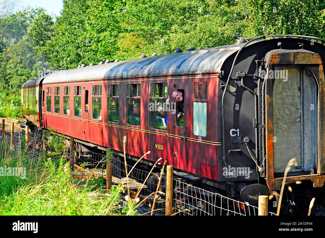 Daumen hoch von der Passagier an der Rückseite des Ribble Dampf Eisenbahn reisen durch den bewaldeten Bereich Stockfoto