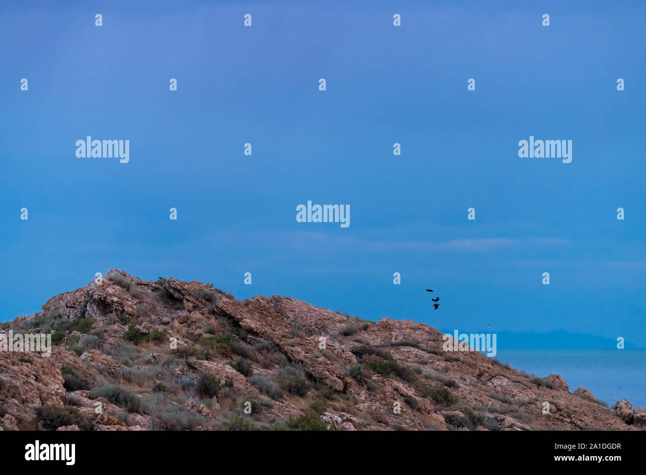 Morgendämmerung mit blauen Stunde Himmel und felsige Klippe in Antelope Island State Park von ladyfinger Campingplatz in Utah mit Vögel Raben fliegen und kämpfen Stockfoto