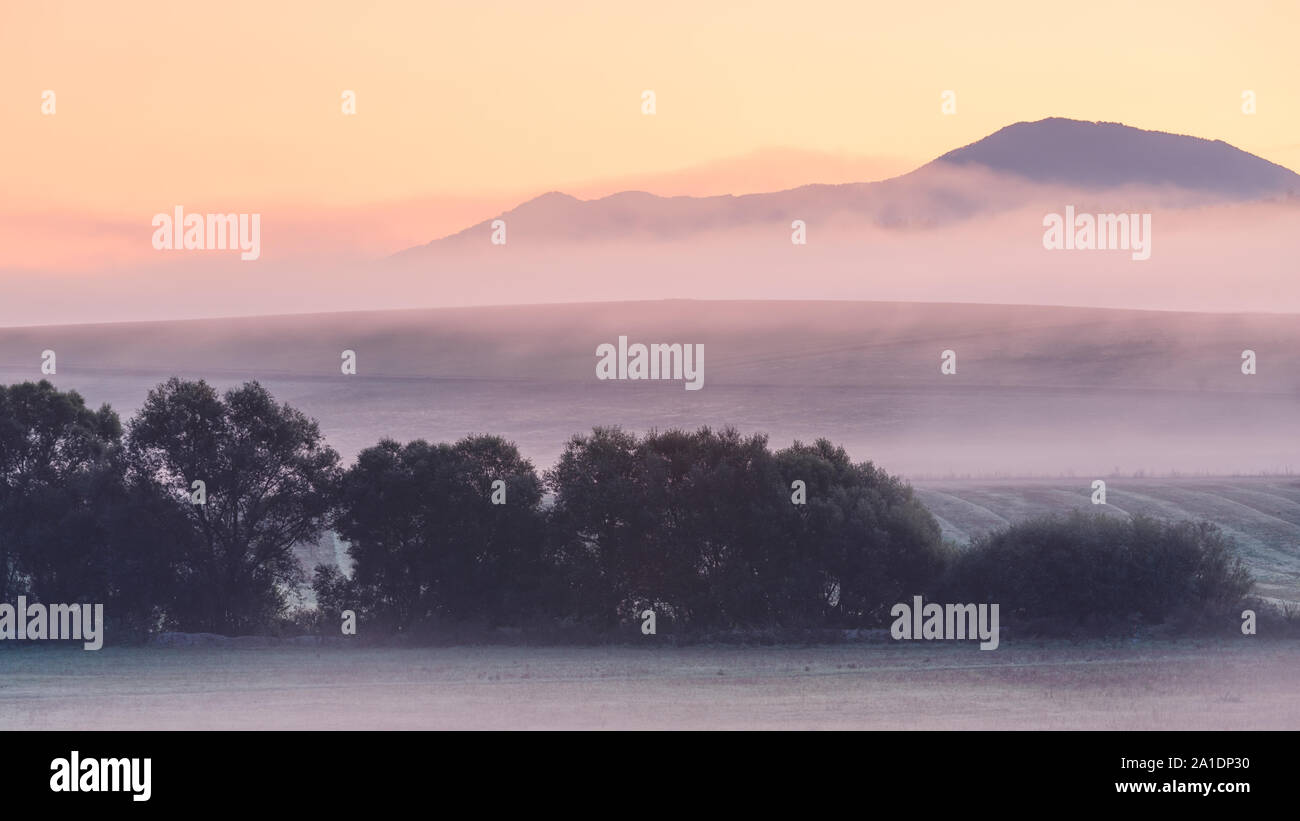 Bäume in die Felder in den Ausläufern des Velka Fatra Gebirge, Slowakei. Stockfoto