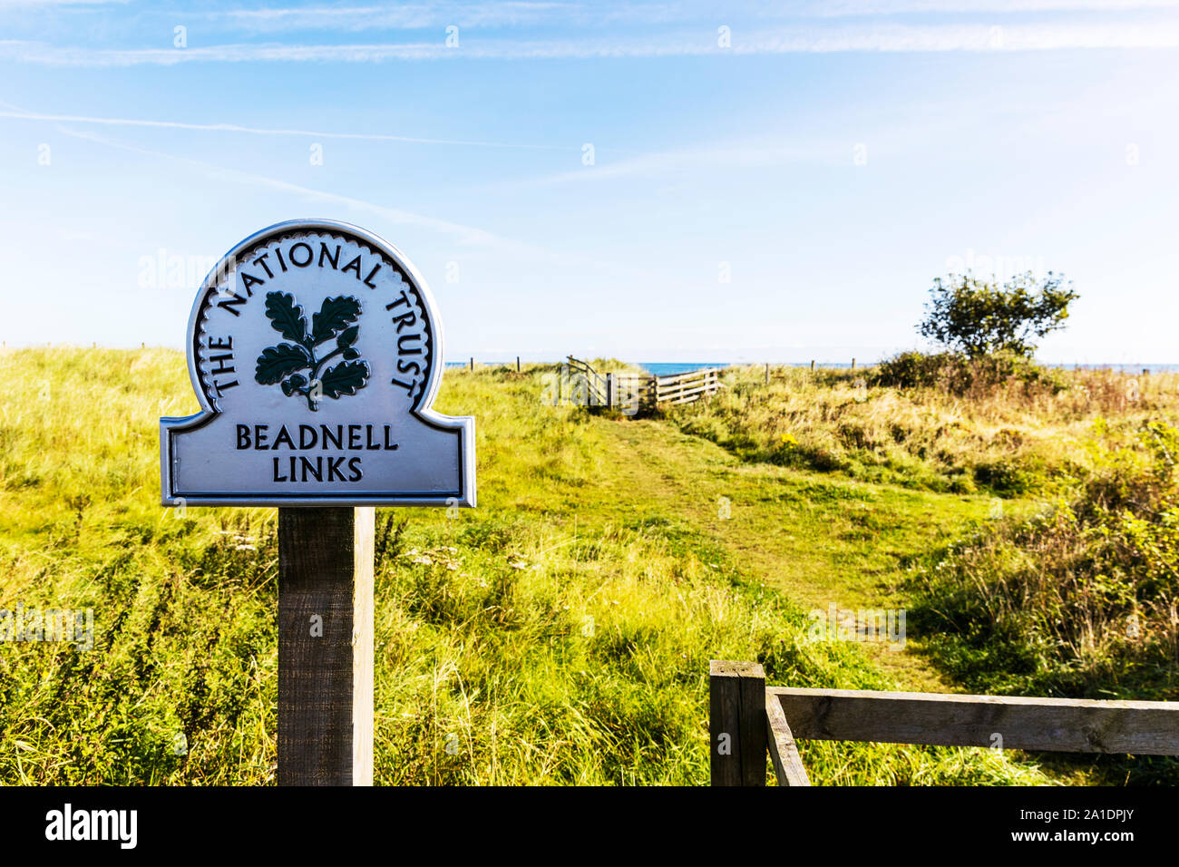 Beadnell Links, Beadnell, Northumberland, Beadnell links Northumberland, Großbritannien, England, Sanddünen, National Trust sign, Beadnell links Sanddünen, Stockfoto
