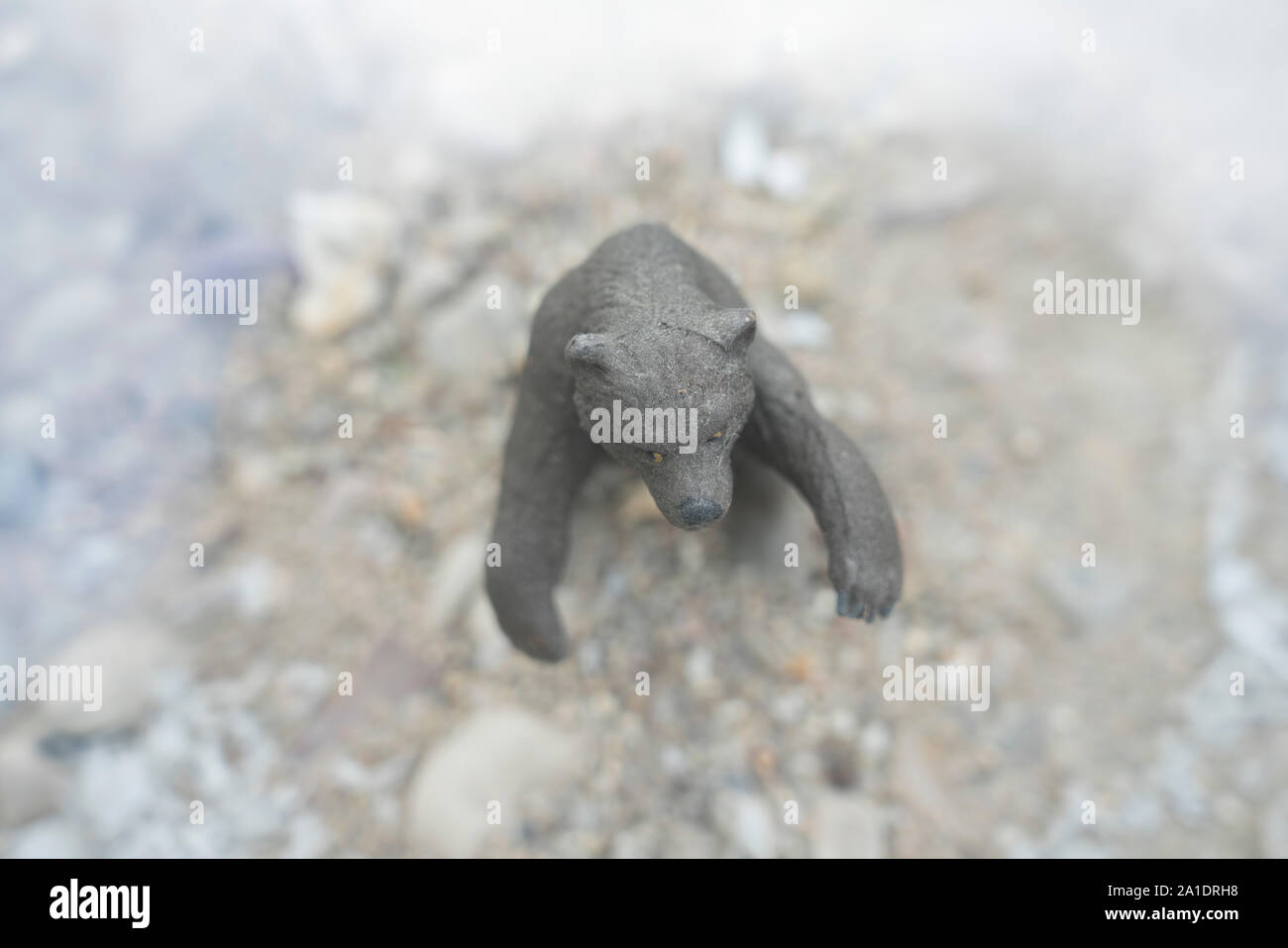 Miniatur Modell eines Bären, Birds Eye View Stockfoto