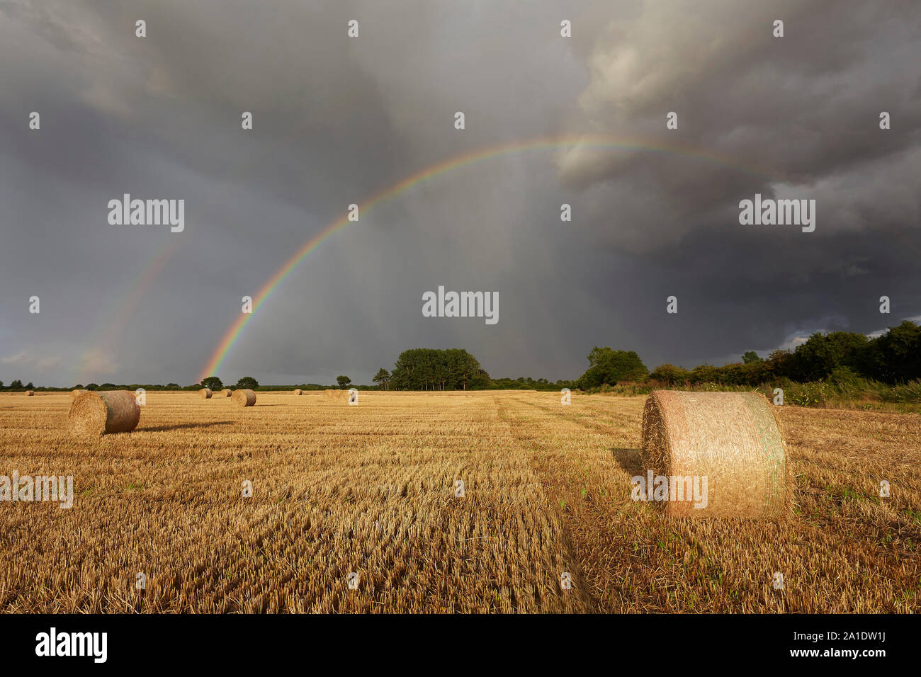 Regenbogen auf einem abgeernteten Feld von Stoppeln und Stroh ballen, East Yorkshire, Großbritannien. Stockfoto