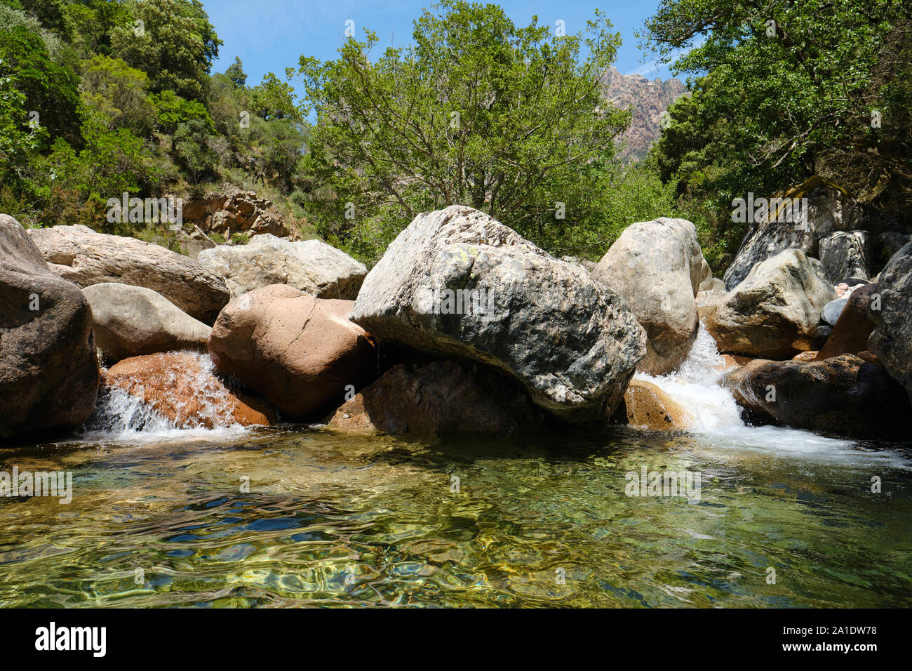 Die Cocktail Bar stream und Rock Pool im Spelunca Schlucht/Gorges de Spelunca in Corse-du-Sud Korsika Frankreich Ota-natürlichen Pool. Stockfoto