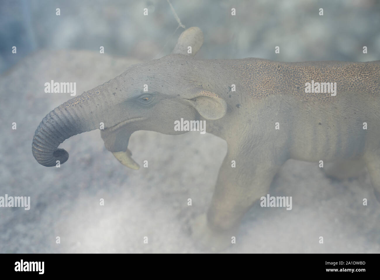 Miniatur Modell eines Deinotherium, Dinotherium, Birds Eye View Stockfoto