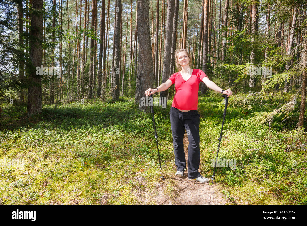 Portrait von jungen schwangeren Frau, die im Sommer Wald während der warmen sonnigen Tag holding Wanderstöcke Natur genießen - gesunde Schwangerschaft Lebensstil c Stockfoto