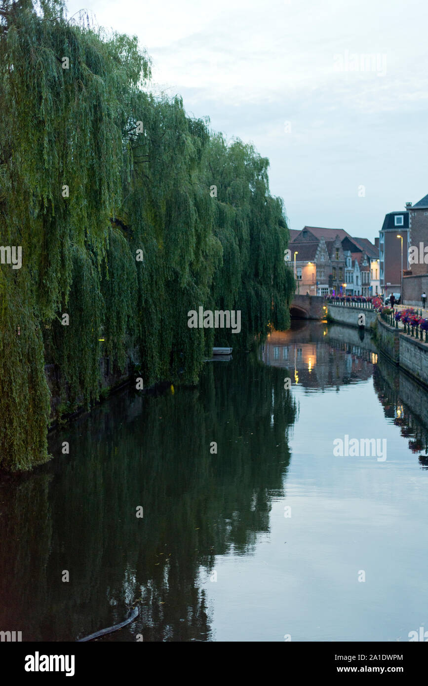 Trauerweiden über die Lieve Canal in Gent, Flandern, Belgien hängen. Stockfoto
