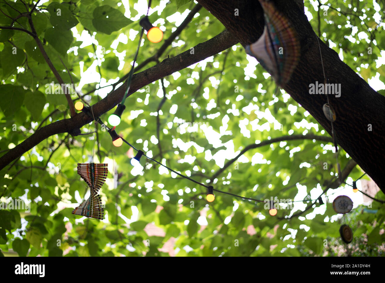 Licht durch die Blätter eines Baumes Zweig mit Ornamenten und Lichterketten in Antwerpen, Flandern, Belgien eingerichtet. Stockfoto