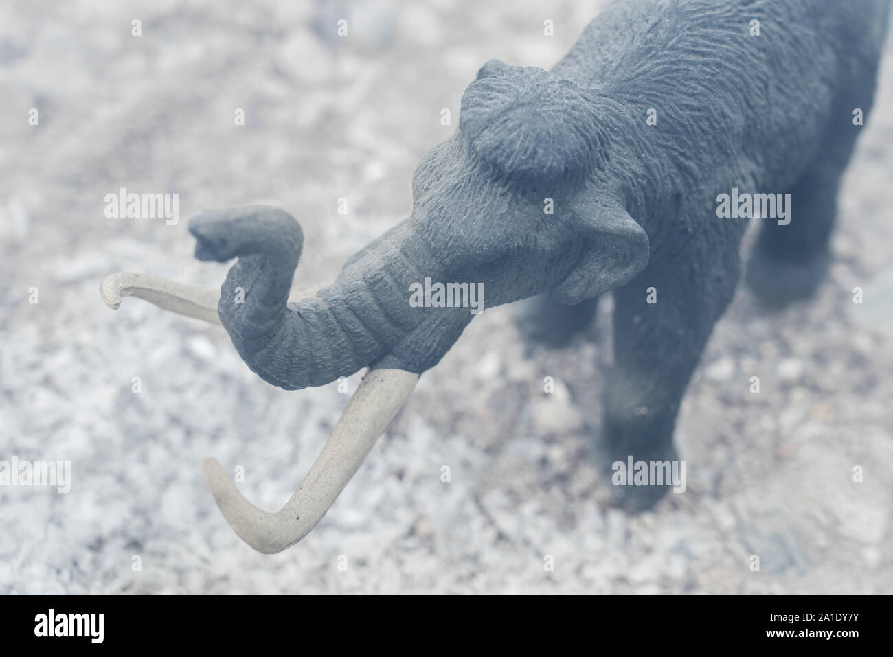 Miniatur Modell eines Mammuts, Birds Eye View Stockfoto