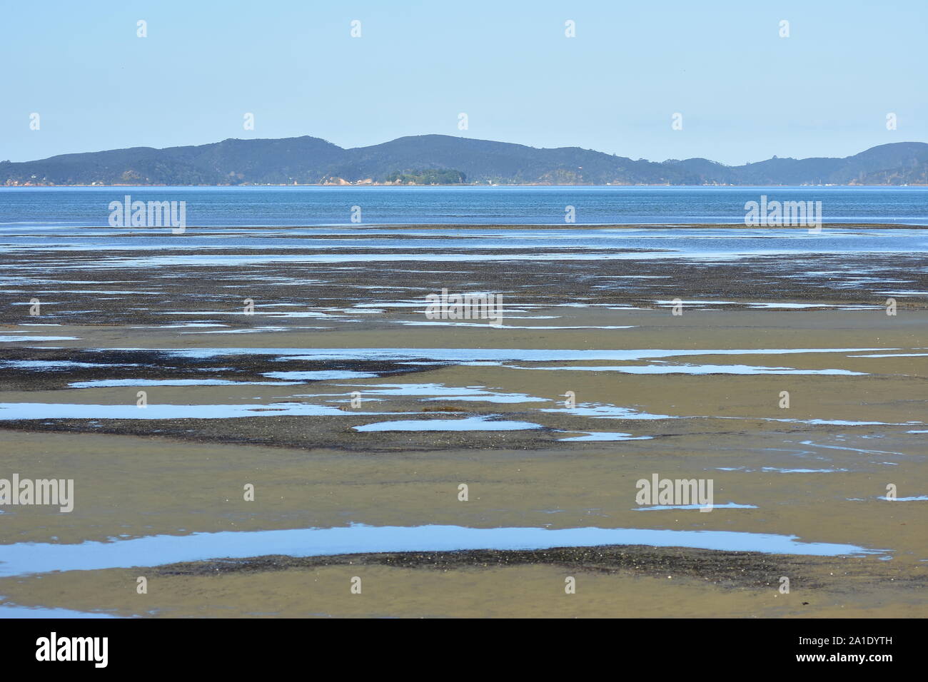 Sand Wohnungen mit flachen Pools in Snells Strand bei Ebbe mit Kawau Island im Hintergrund. Stockfoto