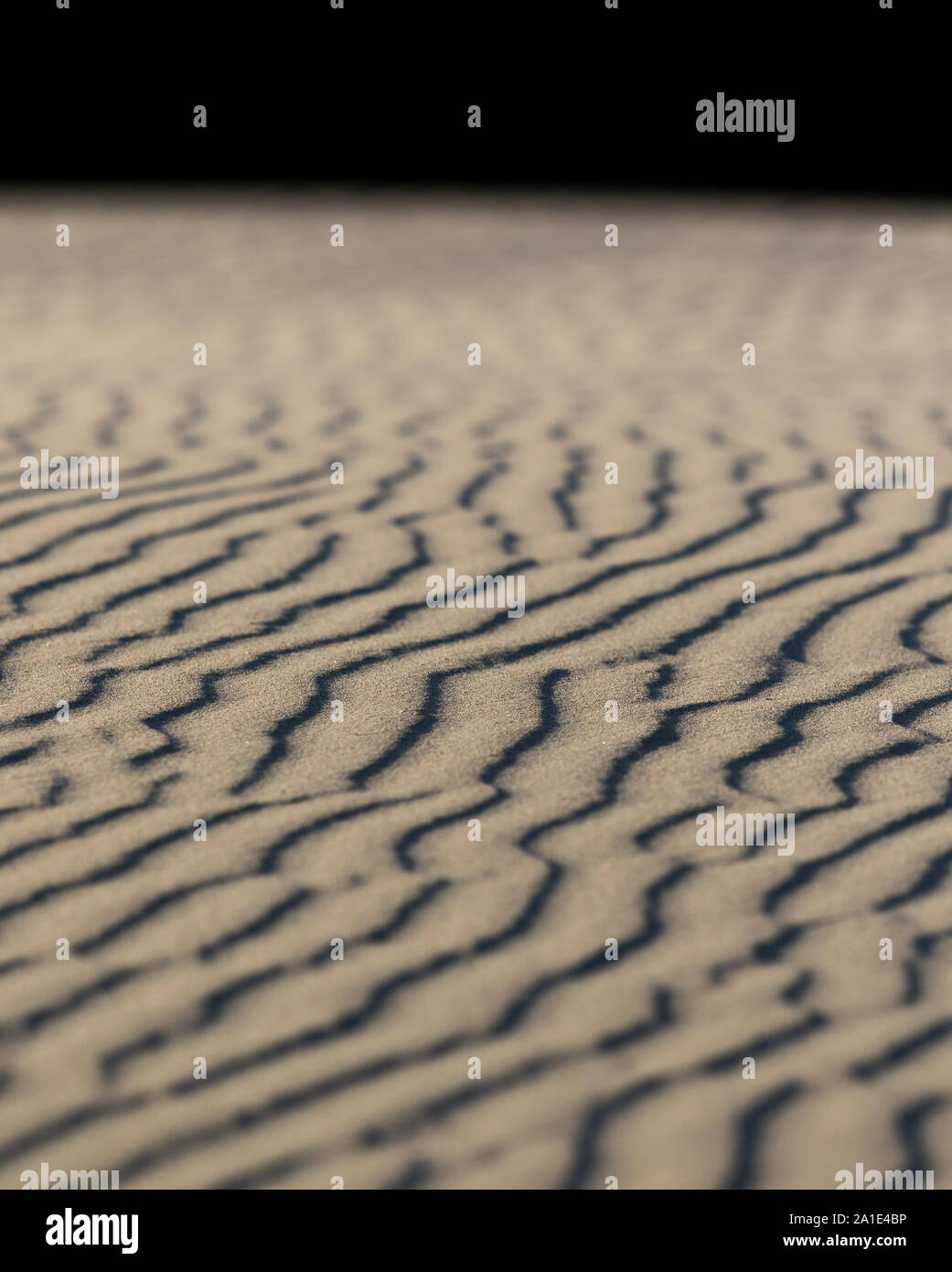 Wellen im Sand, die von Wind verursacht am Strand Stockfoto