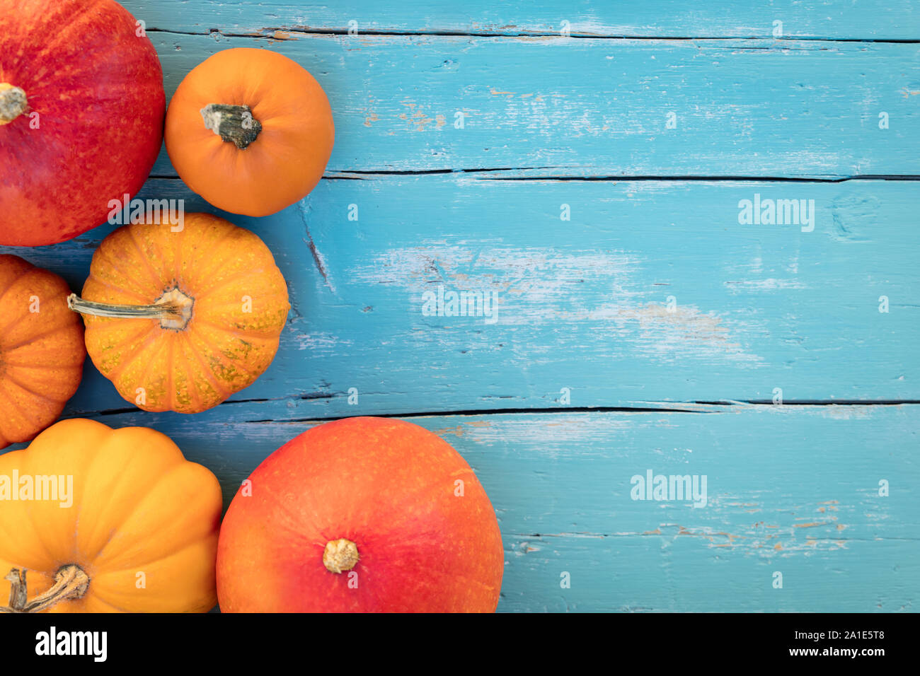 Verschiedene Arten von orange Kürbisse, blau Holz- Hintergrund mit Copyspace Stockfoto