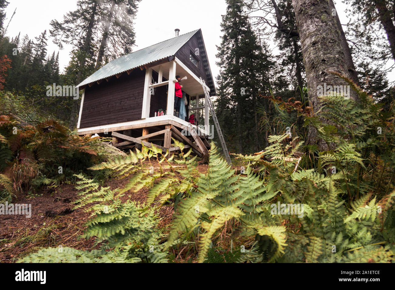Schwarze Hütte in einer waldreichen Umgebung im Herbst Saison anmelden. Stockfoto