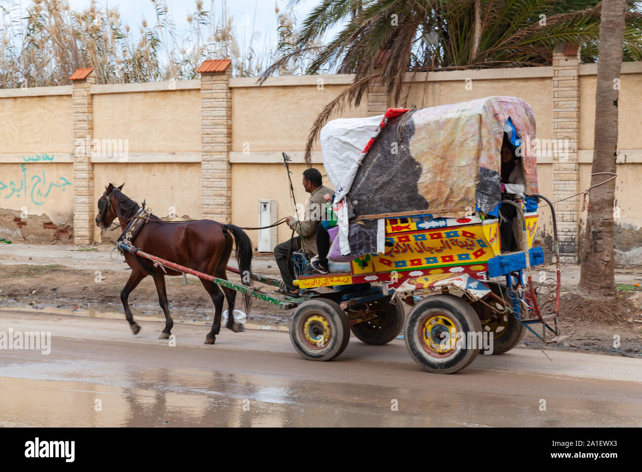 Alexandria, Ägypten - Dezember 20, 2018: Bunte von Pferden gezogene Wagen mit Passagieren und Coachman reitet auf einem schmutzigen nassen Straße von Alexandria Stockfoto