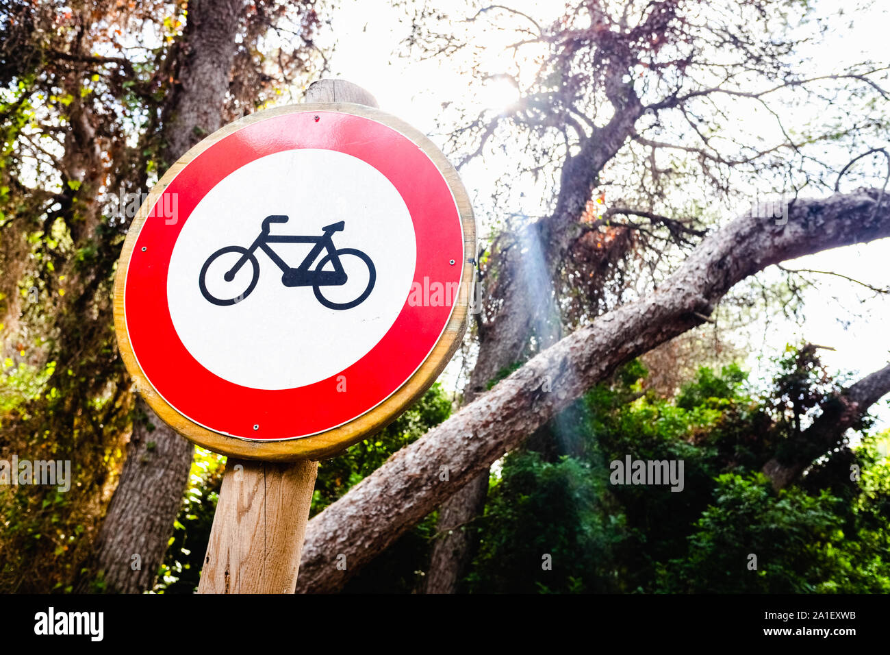 Keine Fahrräder erlaubt durch Waldwege. Stockfoto