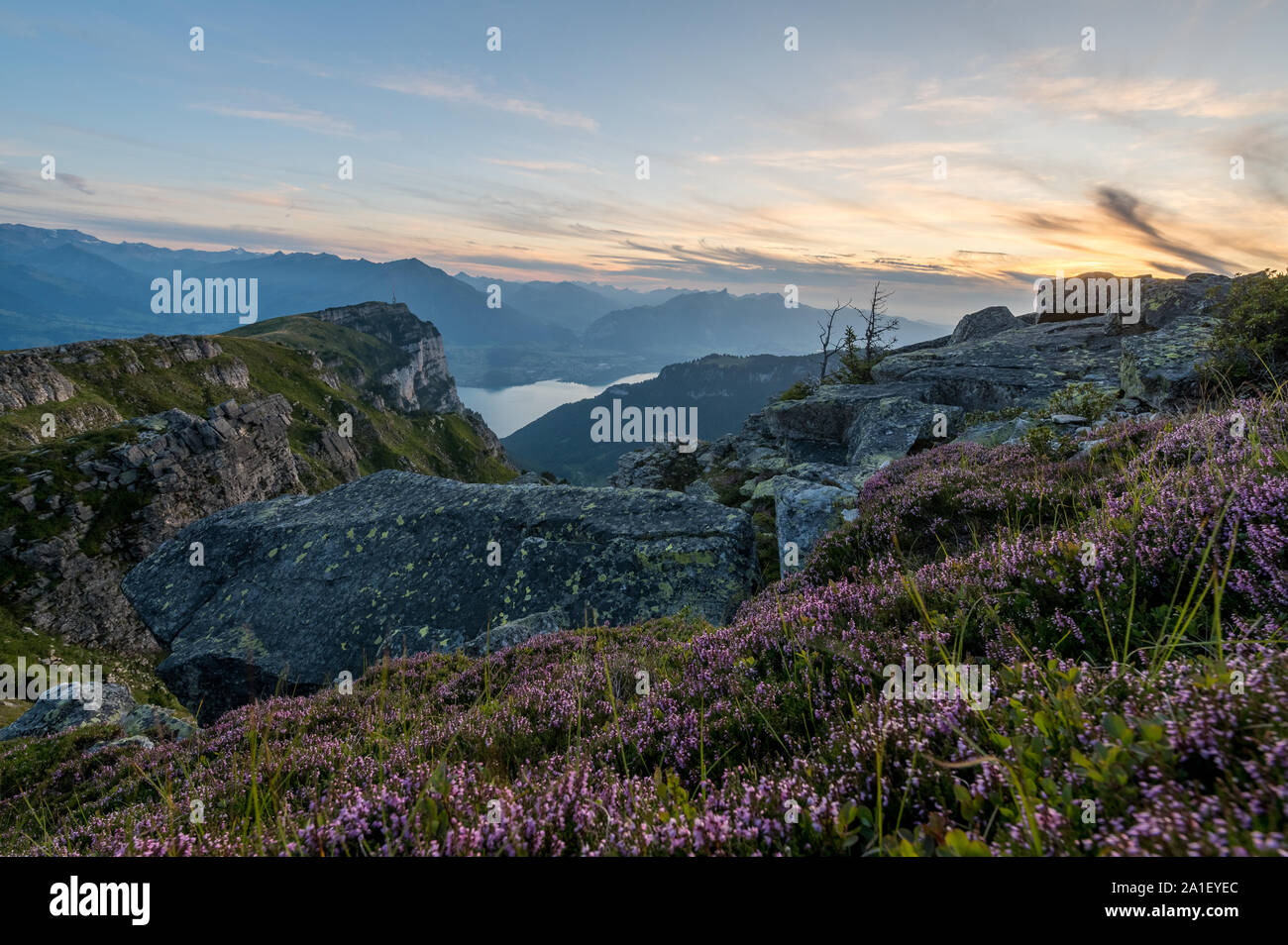 Abendstimmung am Niederhorn und Thunersee mit Spiez Stockfoto