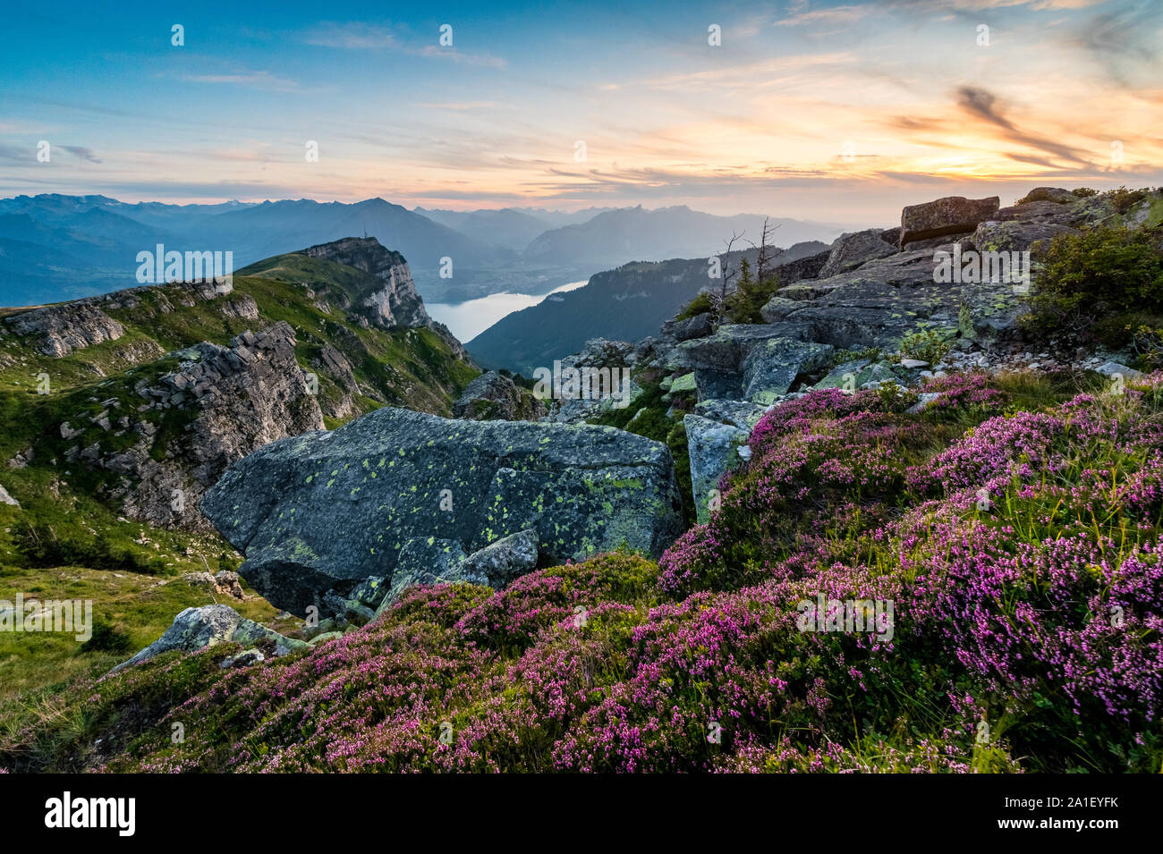 Abendstimmung am Niederhorn und Thunersee mit Spiez Stockfoto