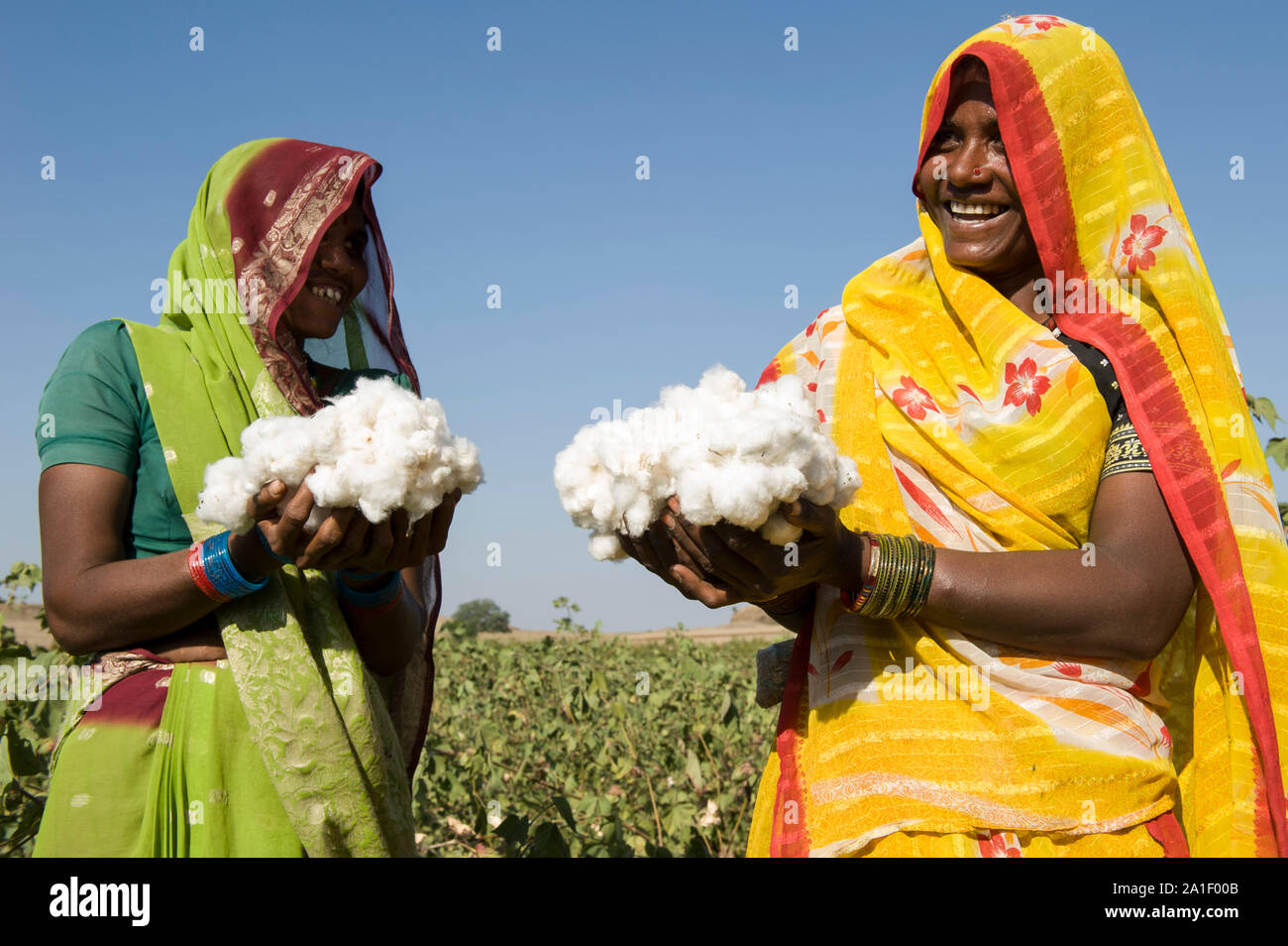 Indien Madhya Pradesh Khargone, tribal Landwirt der kooperativen Shiv Krishi Utthan Sanstha produzieren Fairtrade und Bio Baumwolle/INDIEN Madhya Pradesh Khargone, Kooperative Shiv Krishi Utthan Sanstha vermarktet und Fairtrade Biobaumwolle von Adivasi Farmern Stockfoto
