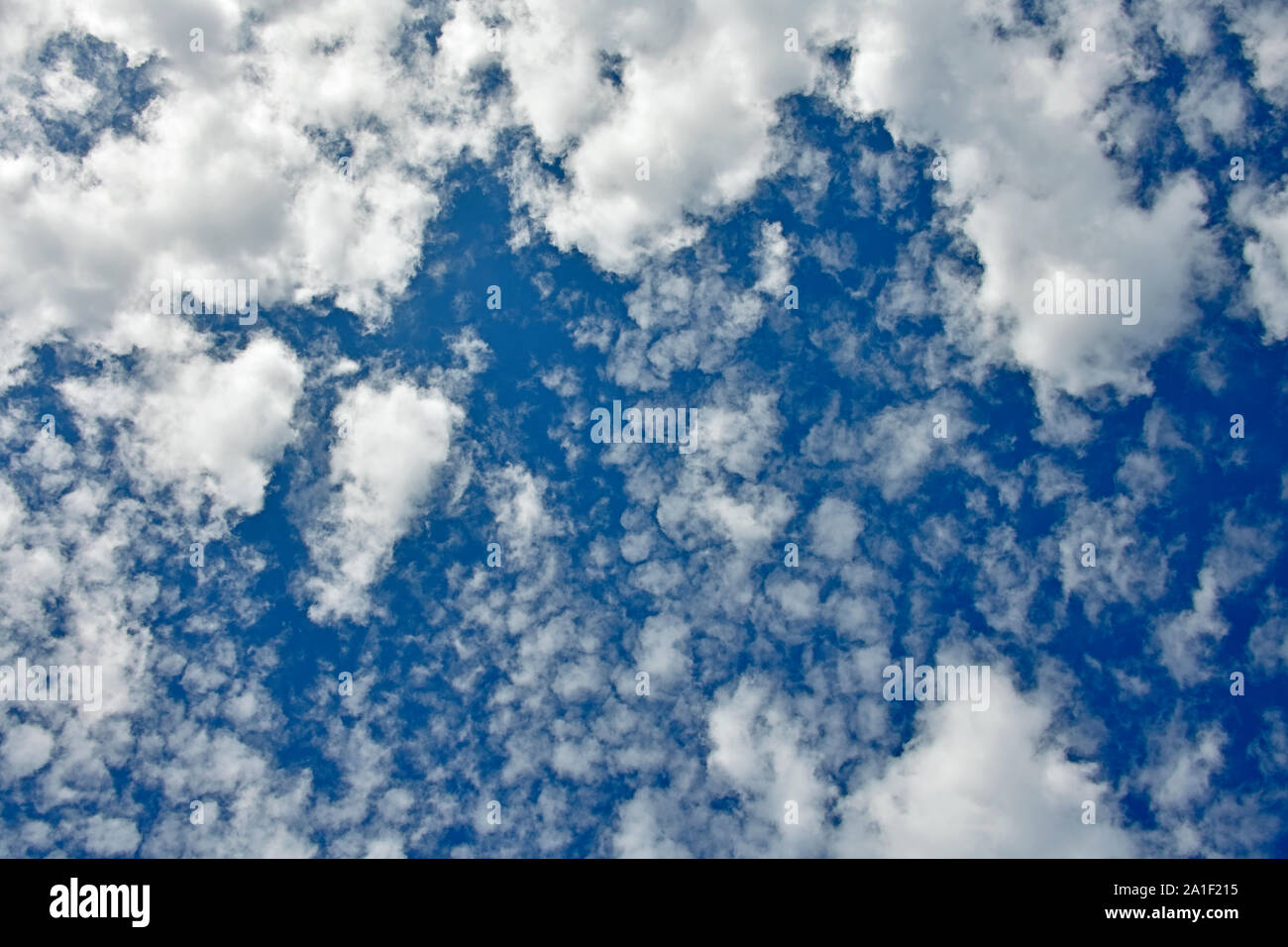 Ein horizontales Bild suchen, um sich an der geschwollene weiße Wolken schweben in einem blauen Himmel auf Vancouver Island British Columbia Kanada. Stockfoto