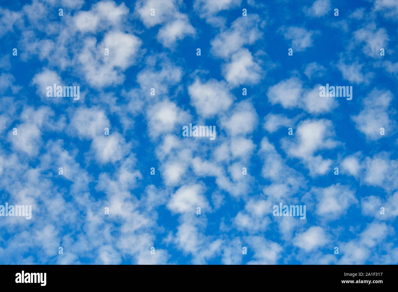 Ein horizontales Bild suchen, um sich an der geschwollene weiße Wolken schweben in einem blauen Himmel auf Vancouver Island British Columbia Kanada. Stockfoto