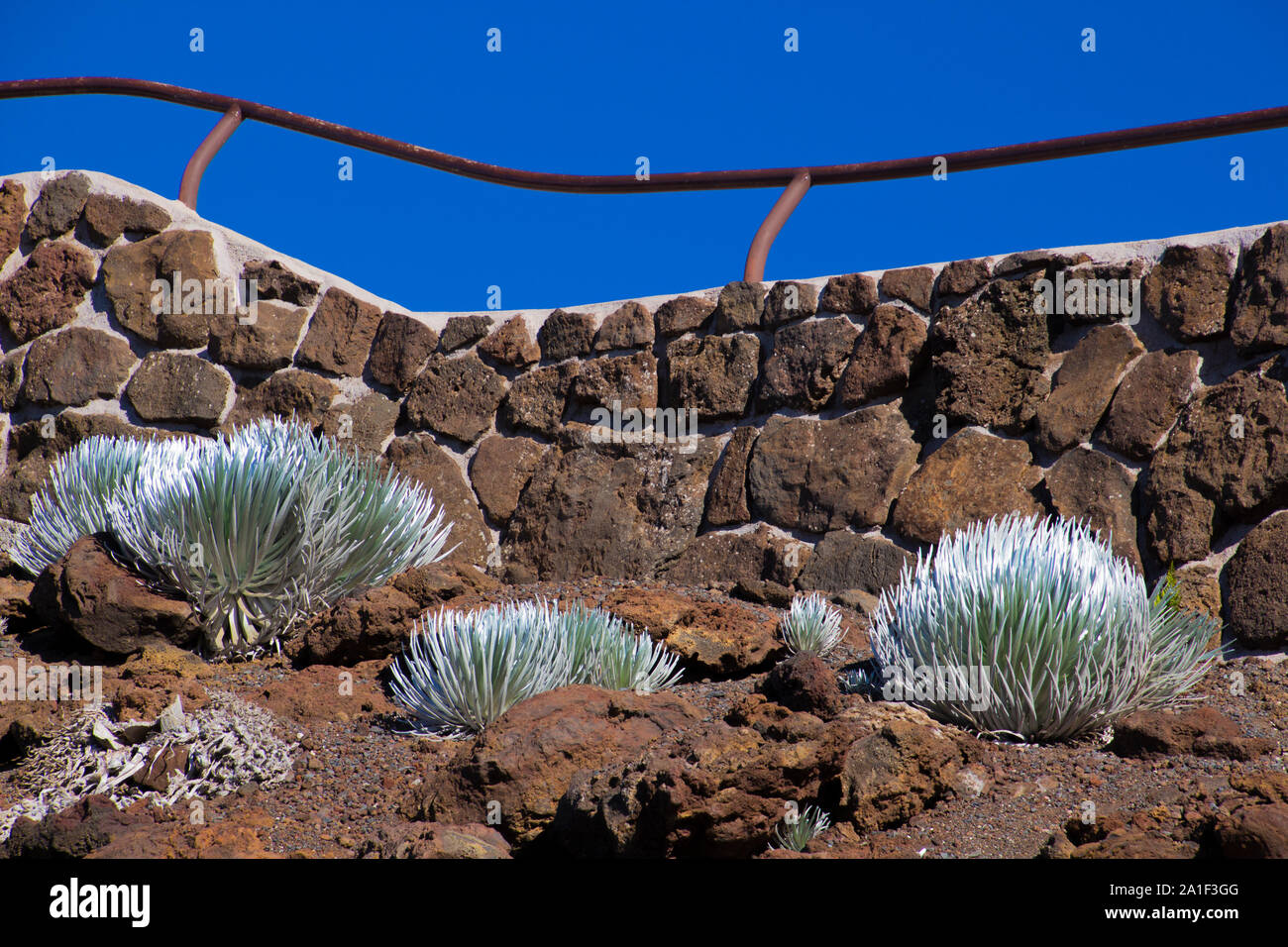 Ein silbernes Schwert vor einem braunen Steinmauer am Haleakala. Ein Vulkan auf der Insel Maui in Hawaii Stockfoto
