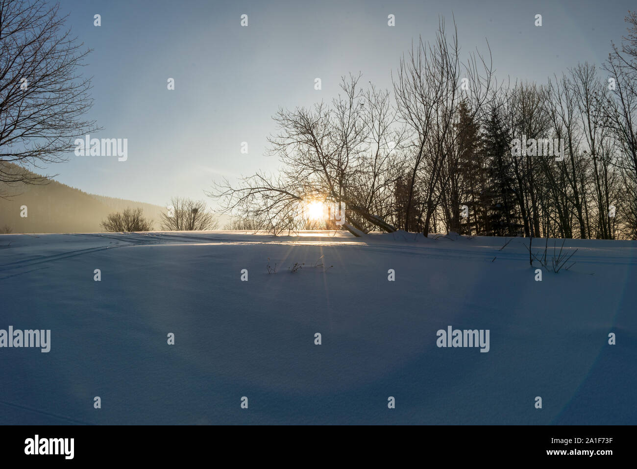 Wintermorgen scenry wih Schnee, Bäume, Sonne und klarem Himmel auf Butoranka oben Dorf in Moravskoslezske Ostravice Beskiden in der Tschechischen Republik Stockfoto