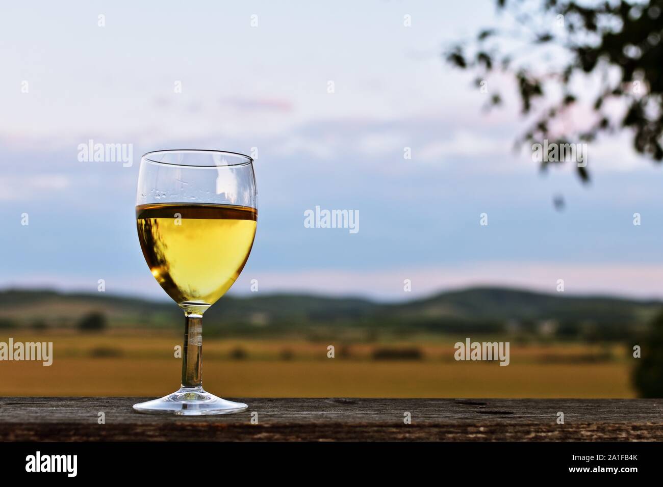 Glas Weißwein mit ländlicher Hintergrund Stockfoto