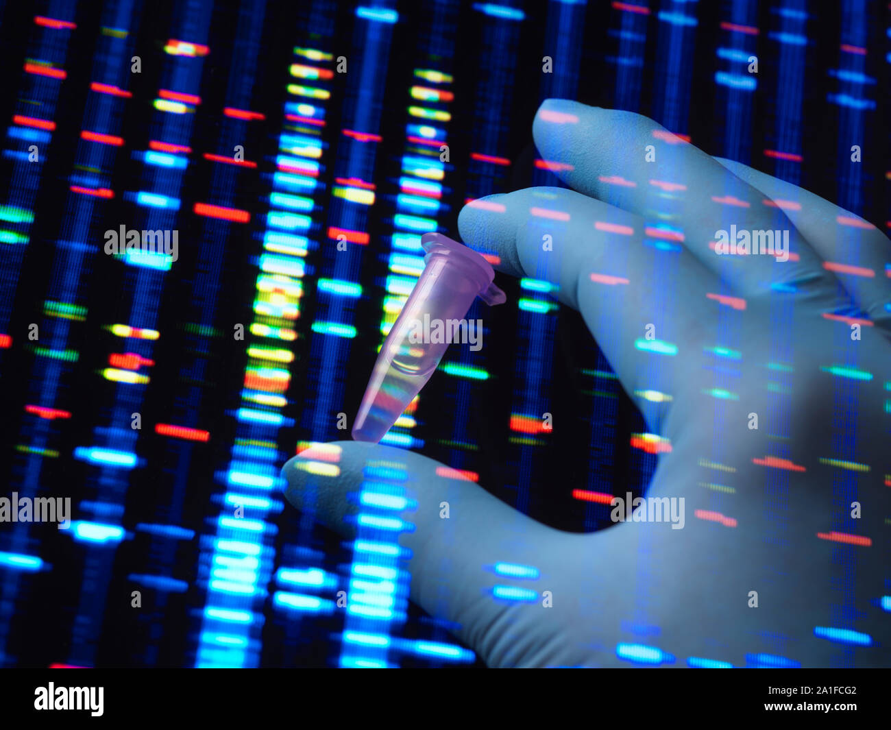 DNA-Forschung, DNA-Probe bis zu einem Bildschirm mit dem genetischen Ergebnisse statt. Stockfoto