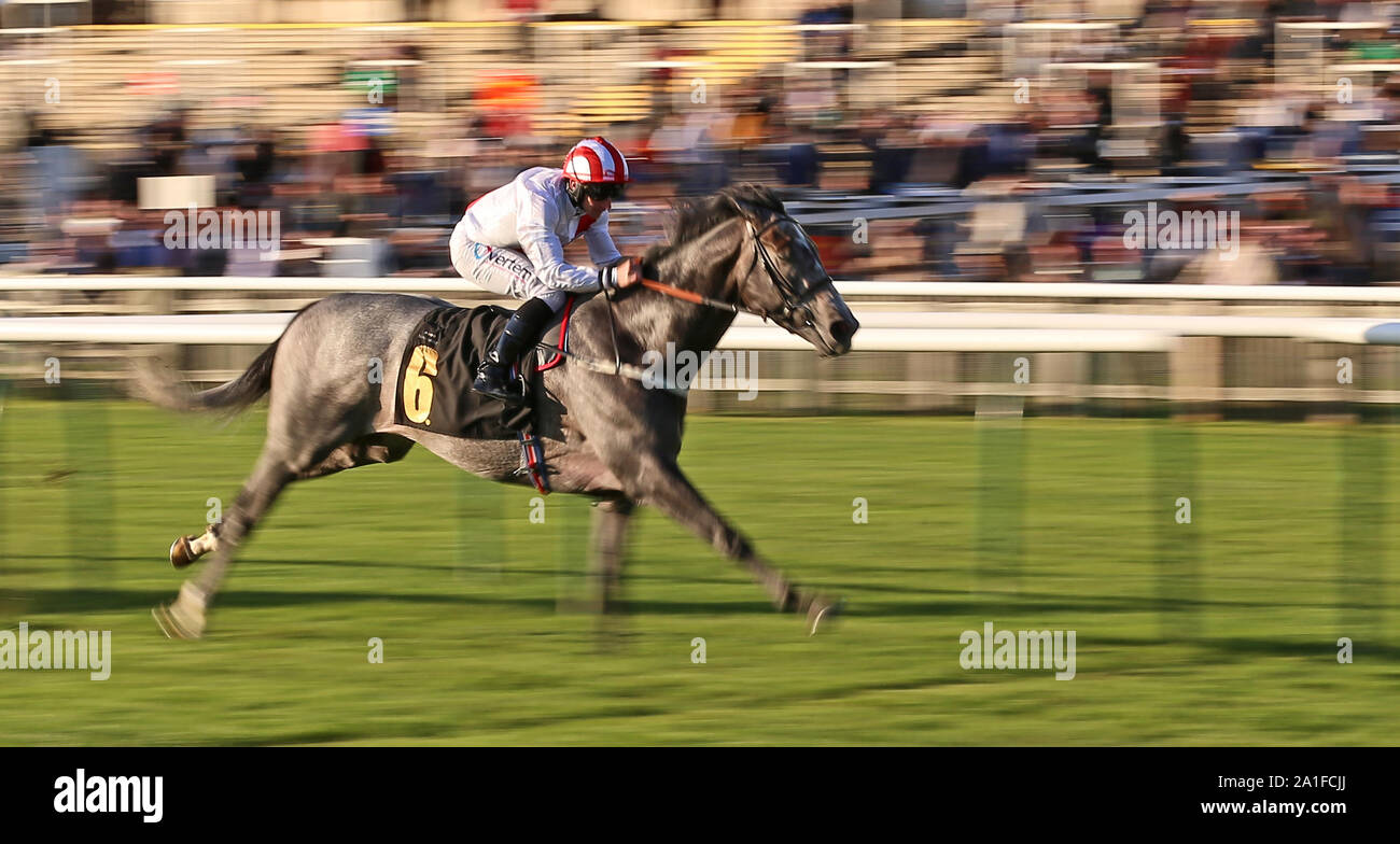 Top Rank geritten von P.J. McDonald gewinnt den Molson Coors Handicap Einsätze während des Tages eine Der cambridgeshire Treffen in Newmarket Racecourse. Stockfoto