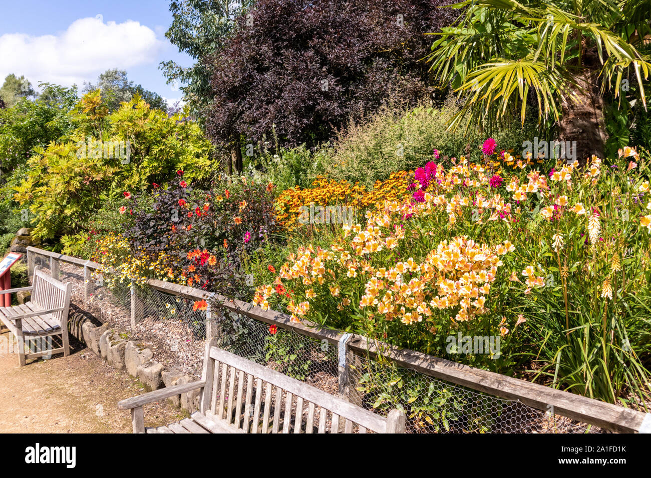 Eine wunderbare Darstellung von Sommerblumen in Golden Acre Park, Leeds, West Yorkshire GROSSBRITANNIEN Stockfoto