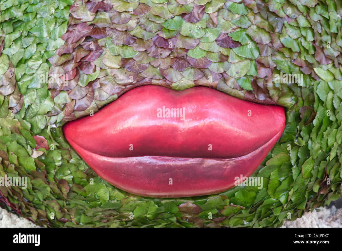 Rote Lippen und Blätter. Stockfoto