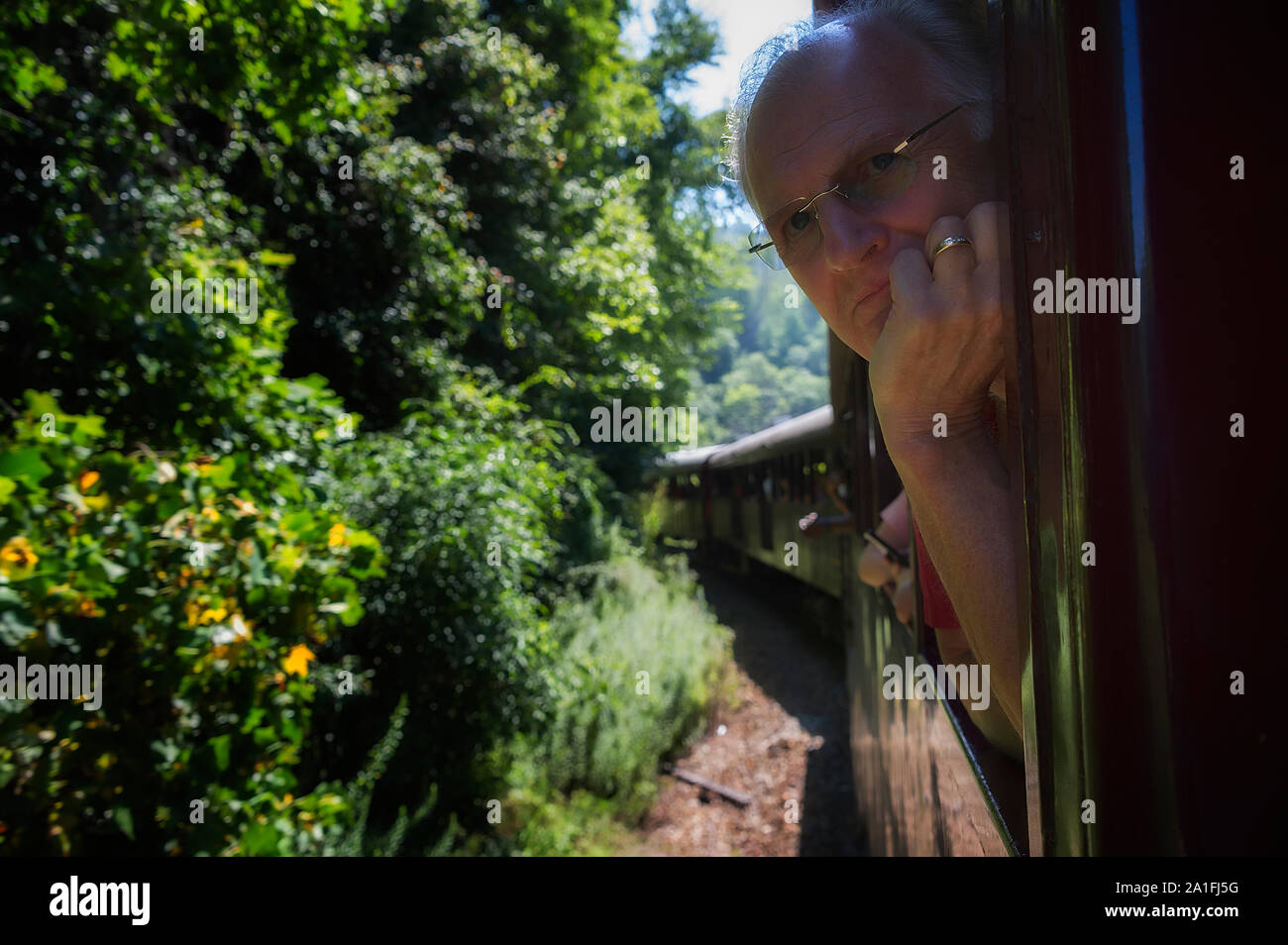 Eine touristische Passagier in einem Offener Zug Auto schaut auf die vorbeiziehenden Landschaft wie der Zug fährt obwohl die Nantahala National Forest im Norden Carol Stockfoto