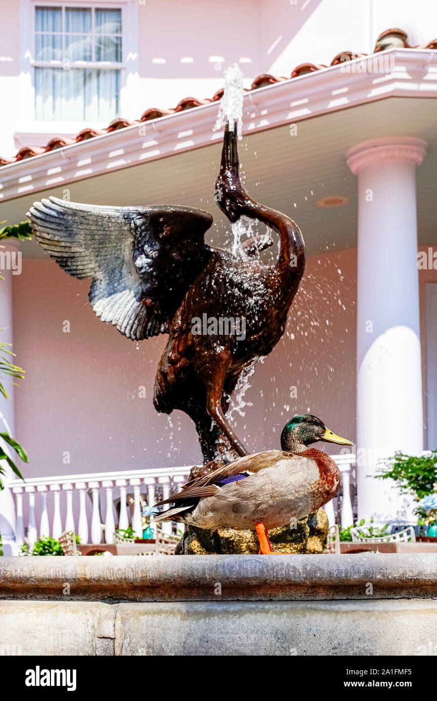 Ente steht in der Nähe von einem Kran Statue in Orlando, Florida. Stockfoto