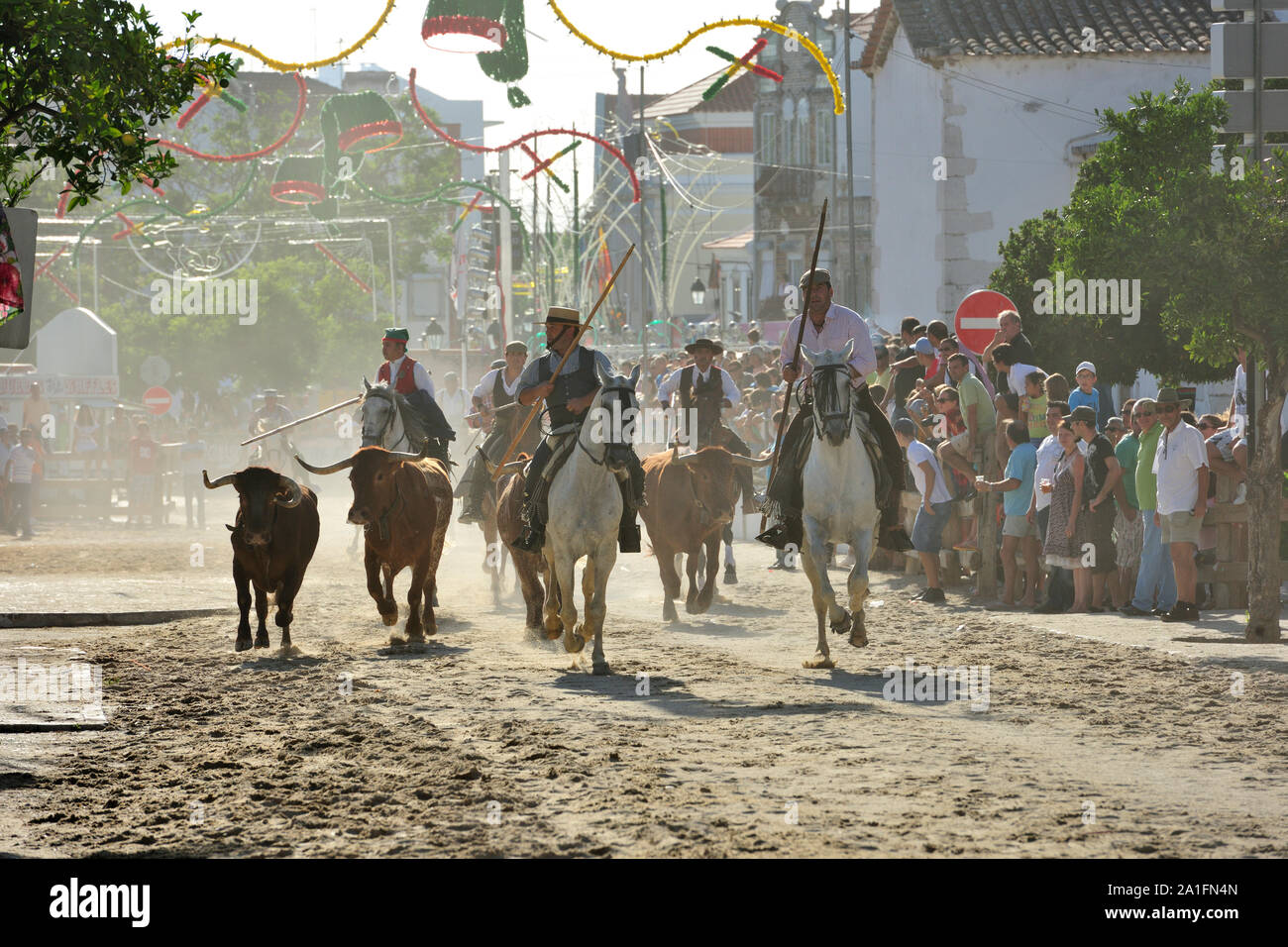 Traditionelle läuft der wilden Stiere durch die "campinos". Alcochete, Portugal Stockfoto