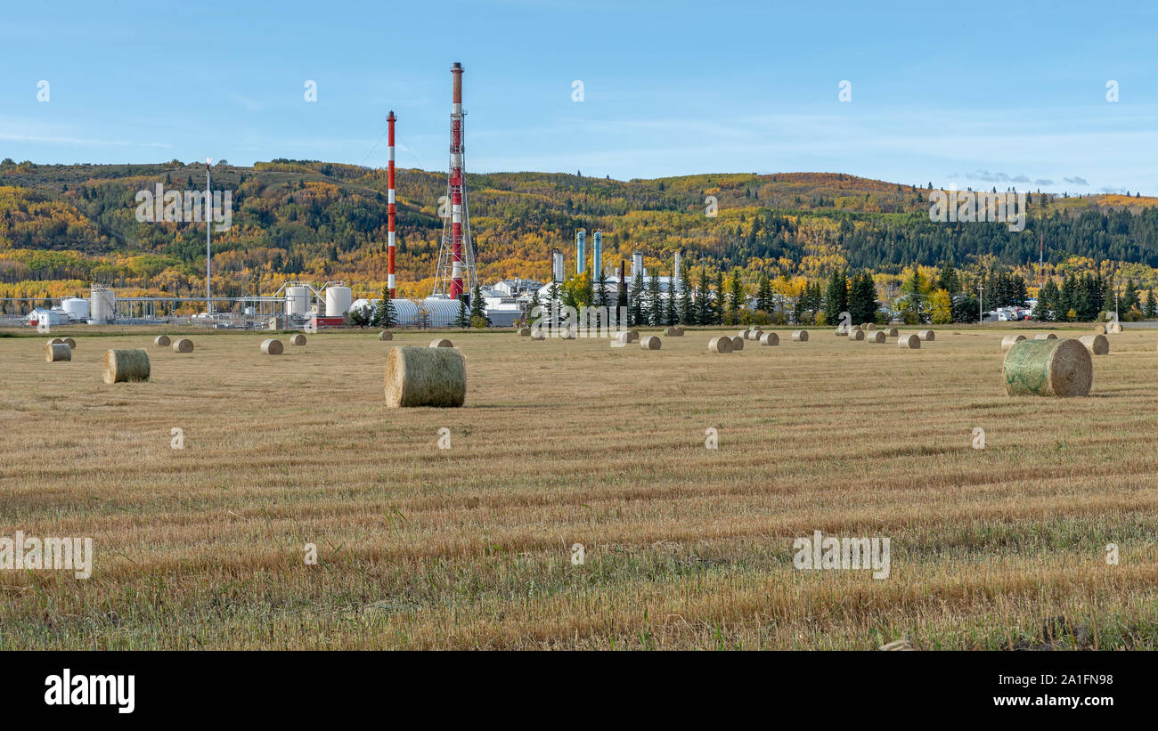 Gas-Anlage neben einem Heu Feld bei Cochrane, Alberta, Kanada Stockfoto