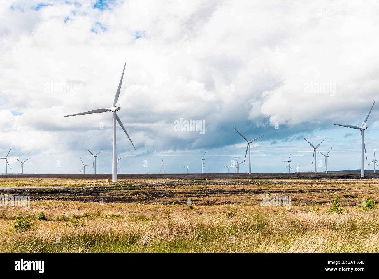 Windpark in der Landschaft unter bewölktem Himmel im Frühjahr Stockfoto