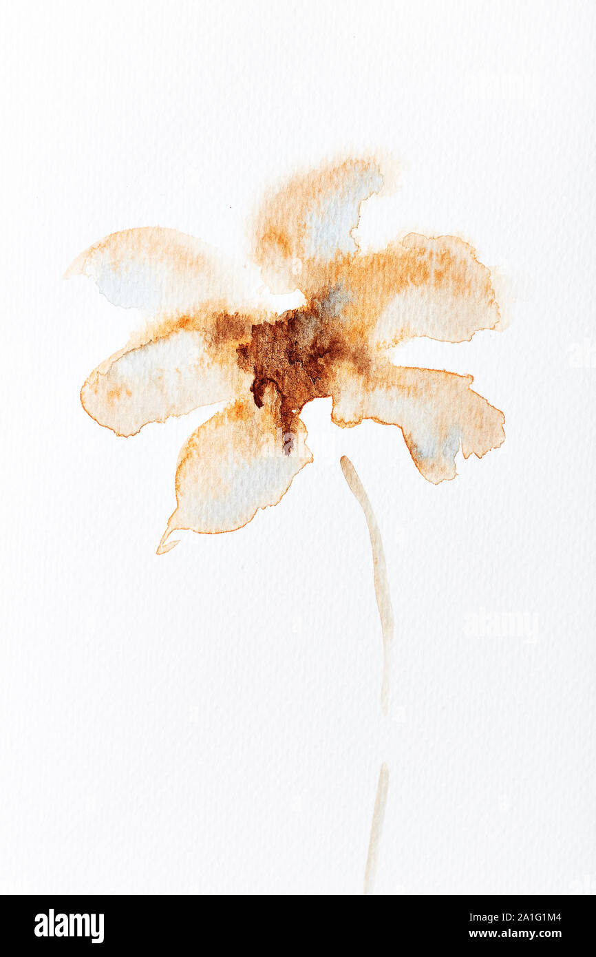 Aquarell Blume Stockfoto