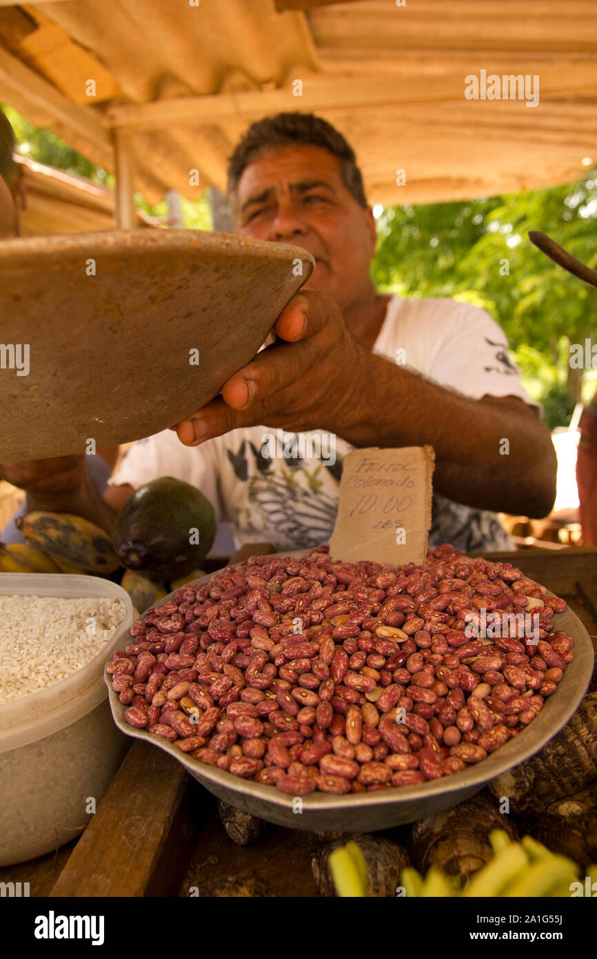 Ein Mann verkauft Bohnen in einem karibischen Markt. Kuba. Reis und Bohnen sind Teil der grundlegenden Diät SANTA CLARA - Kuba, vor 23: ein Mann, der Verkauf von Bohnen an die Landwirte Stockfoto