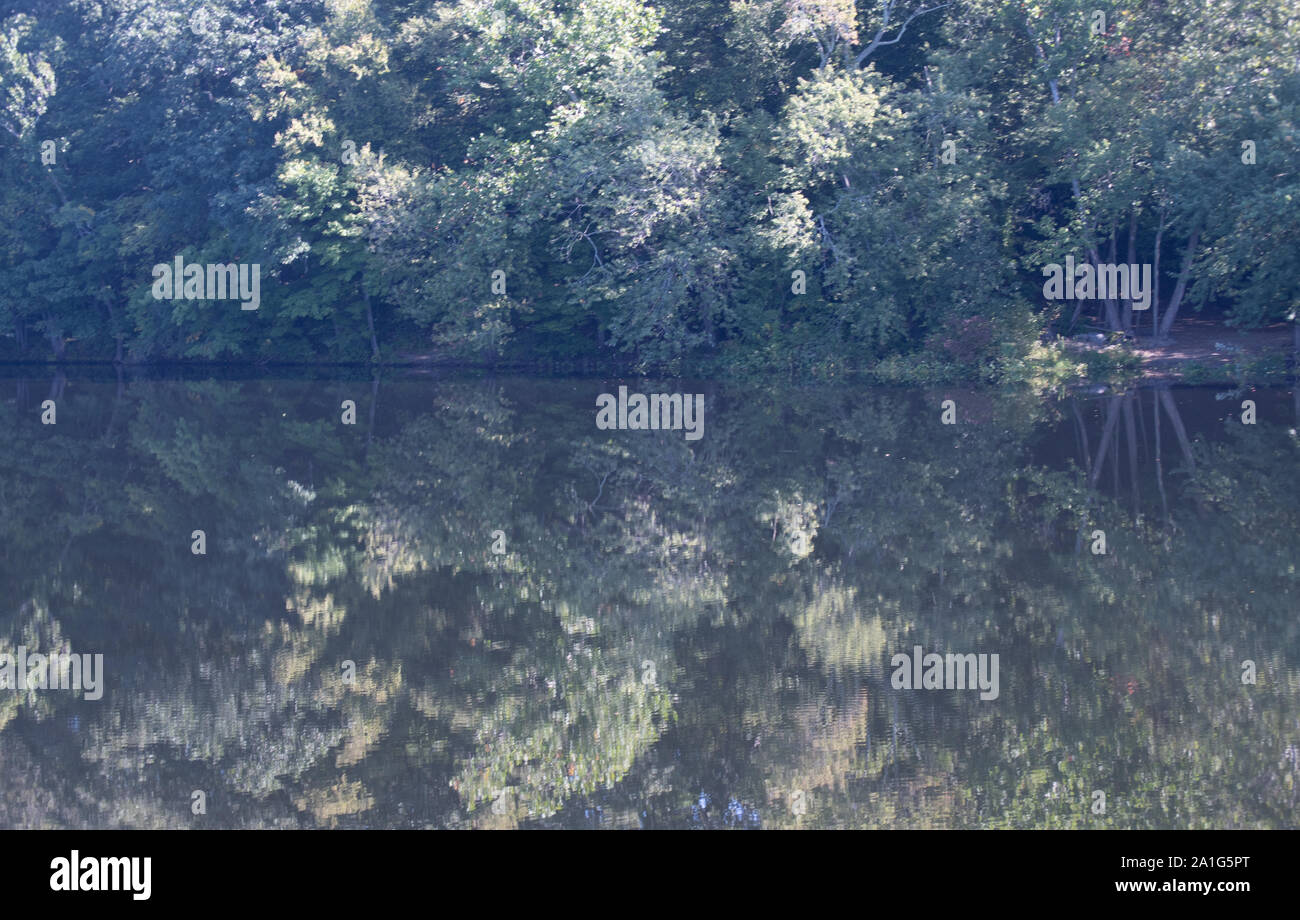 Der Herbst kommt nach Osteuropa, Connecticut als Überlegungen sind in den Flüssen und Sümpfen gesehen. Stockfoto