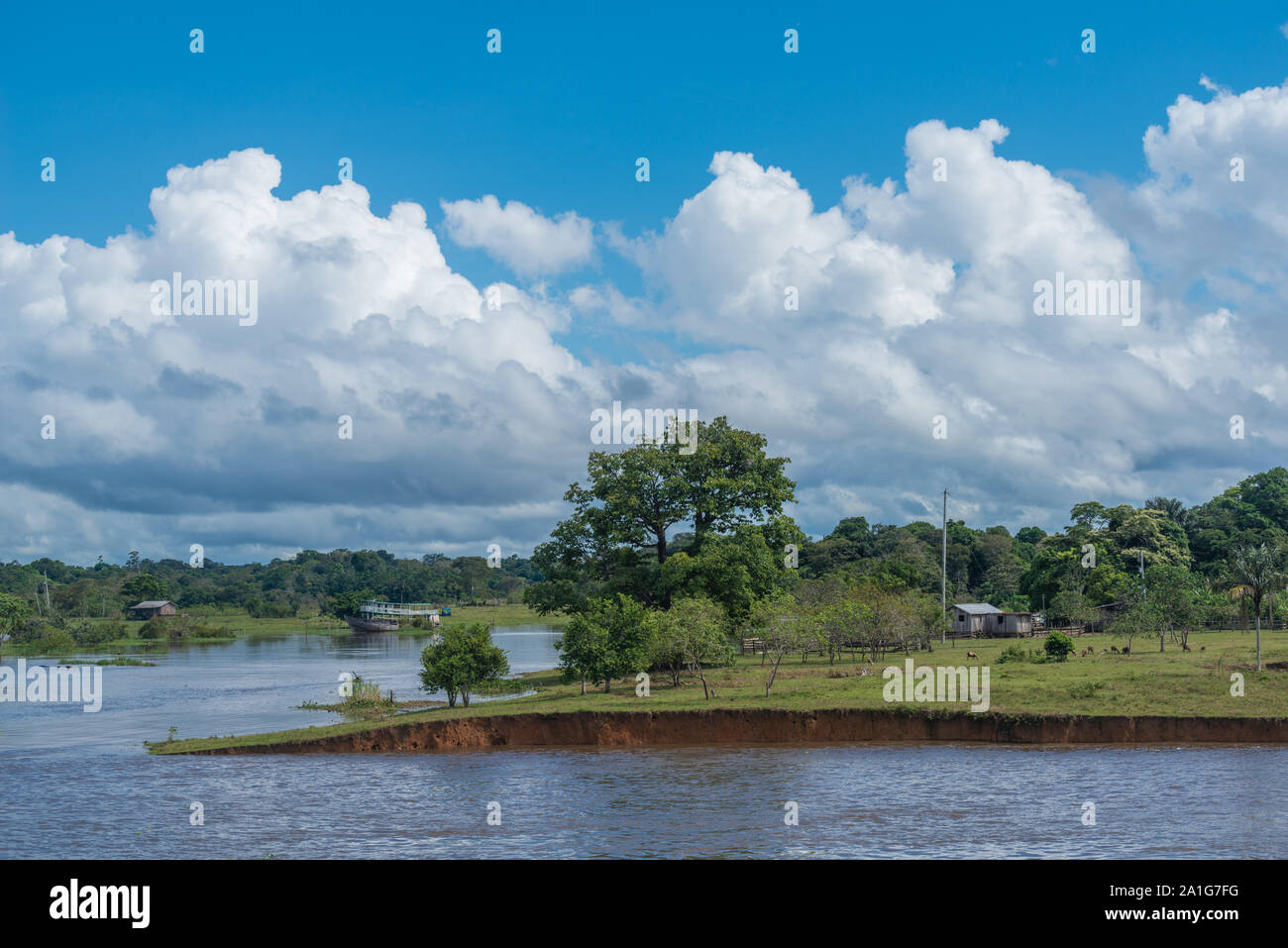 Obersations auf eine zweitägige Bootsfahrt von Manaus Tefé, Monat Mai, Rio Solimoes, Amazonas, Ende der Regenzeit, der Amazonas, Brasilien, Lateinamerika Stockfoto