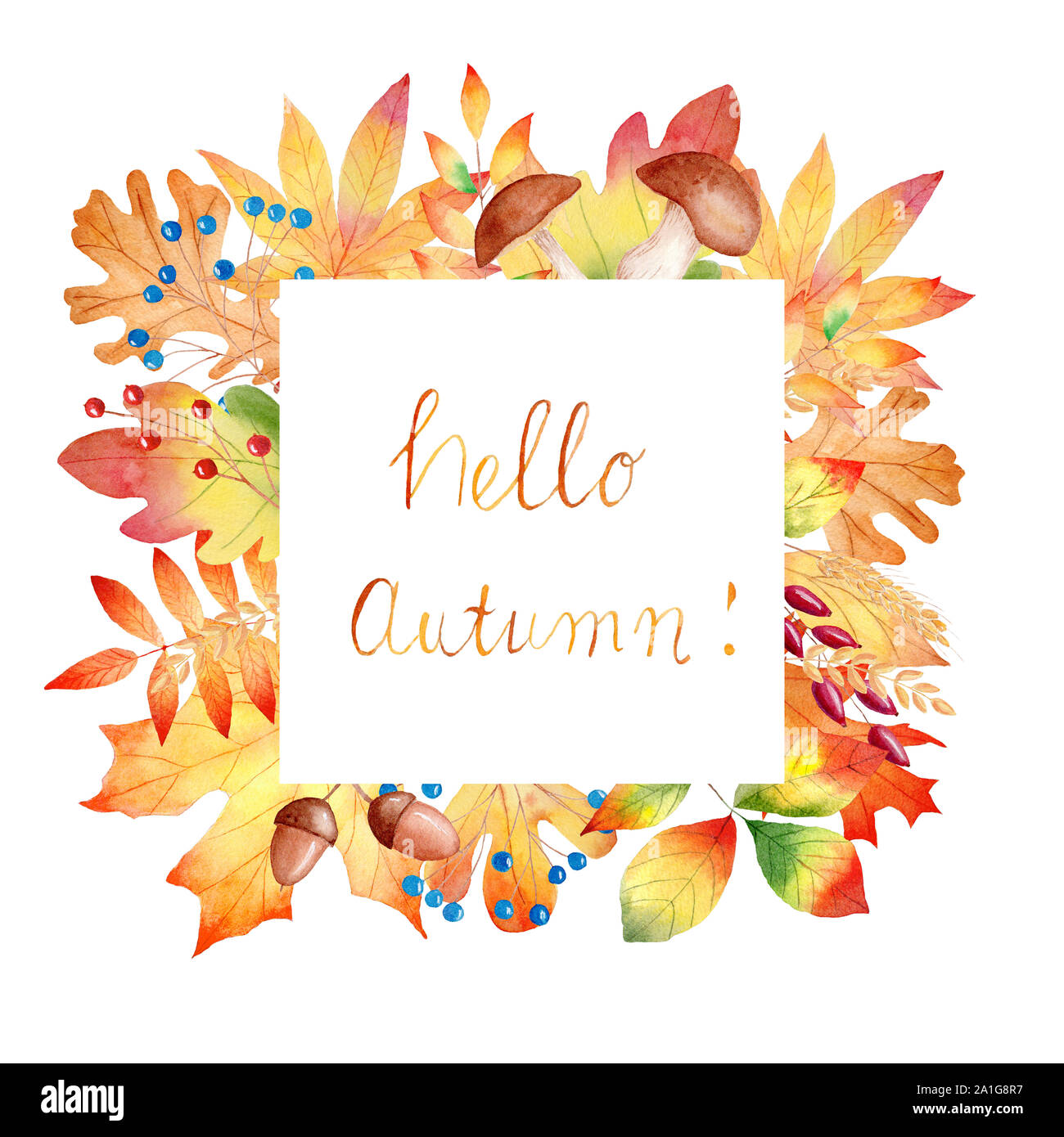 Hallo Herbst festival Hand gezeichnet Raster frame Vorlage. Pilze, goldenes Laub, Acorn quadratisch Grenze mit Copyspace. Saisonale fest Gruß c Stockfoto