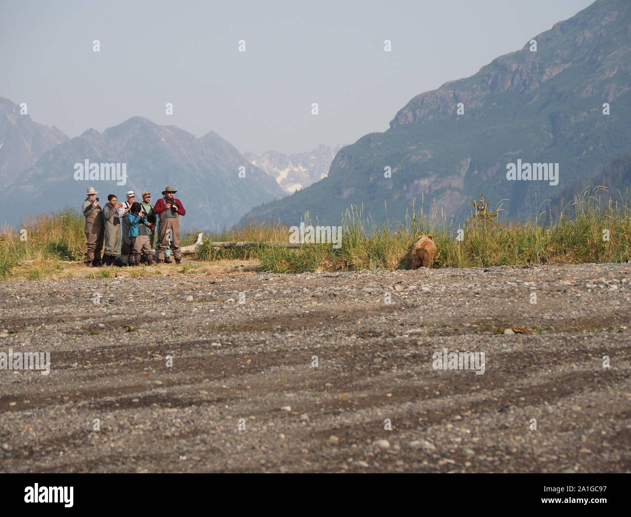 Gruppe Leute beobachten Braun Grizzly Bär Katmai Alaska USA Stockfoto