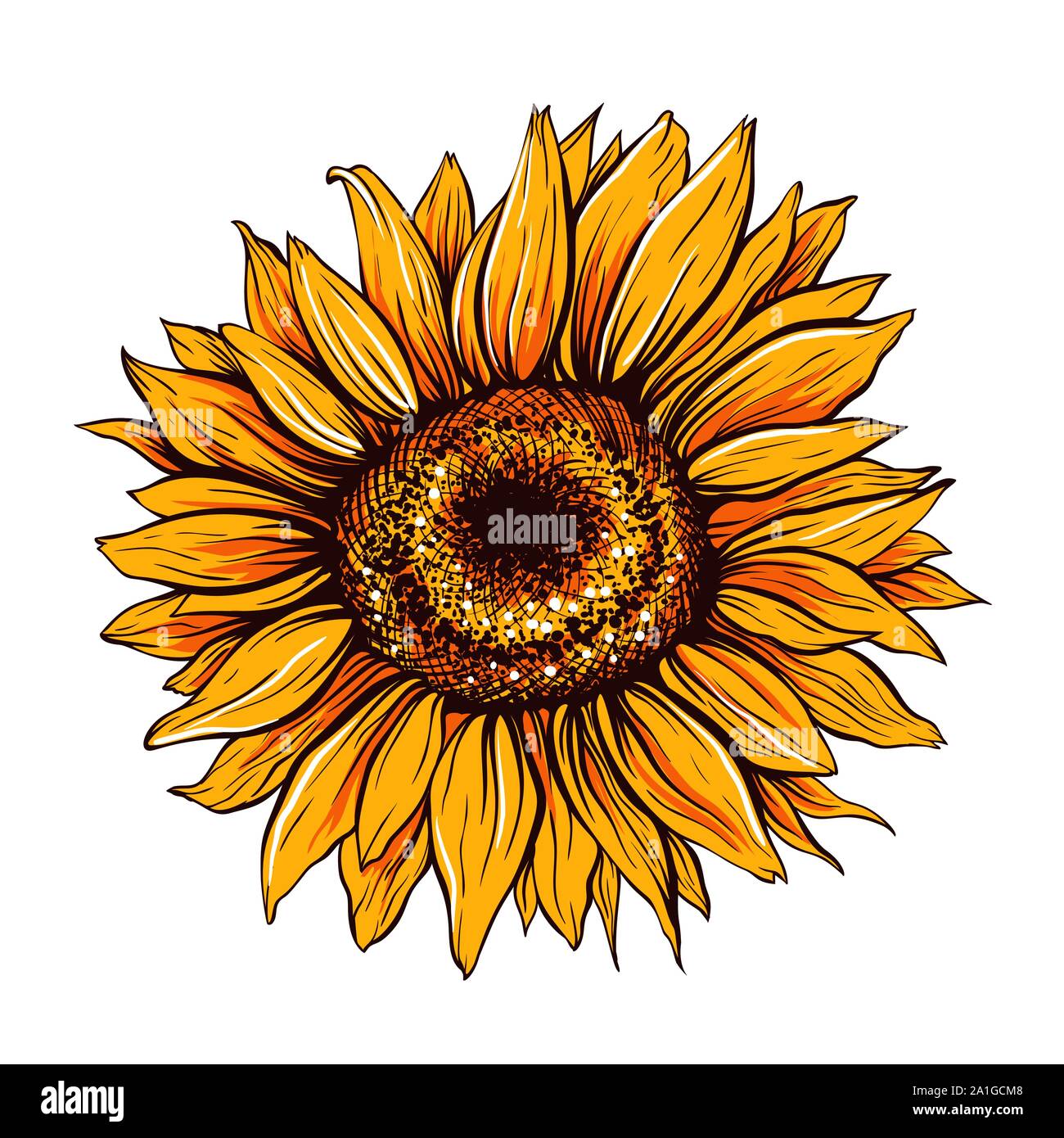 Cartoon Sonnenblume Fotos Und Bildmaterial In Hoher Aufl sung Alamy