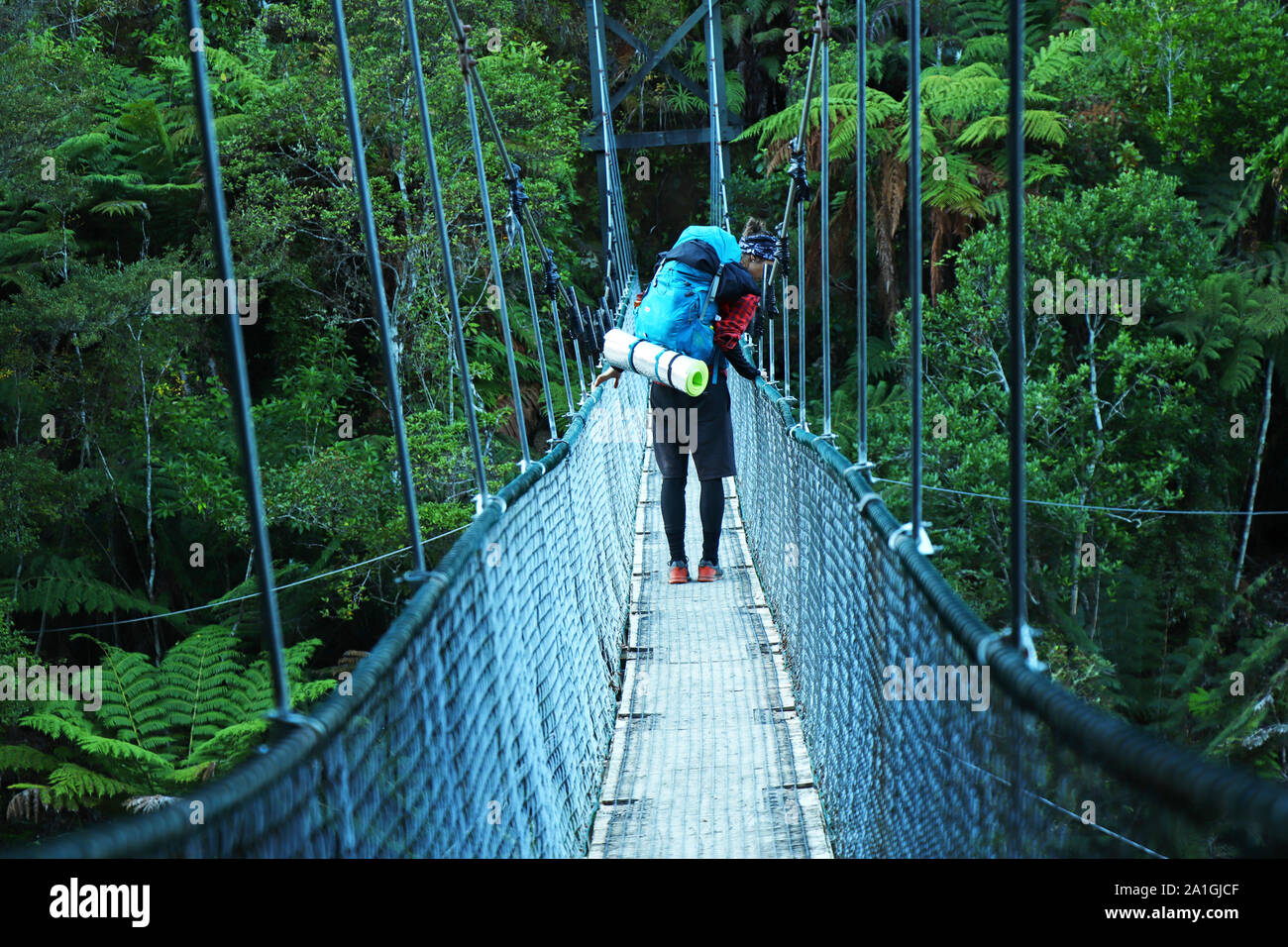 Hängebrücke im Abel Tasman National Park Stockfoto
