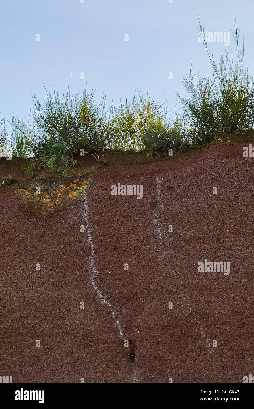 Querschnitt an, El Croscat Vulkan vulkanischen Rot, mit Pflanzen, die auf der Oberseite (Garrotxa vulkanischen Zone Natural Park, Santa Pau, Girona, Spanien) Stockfoto