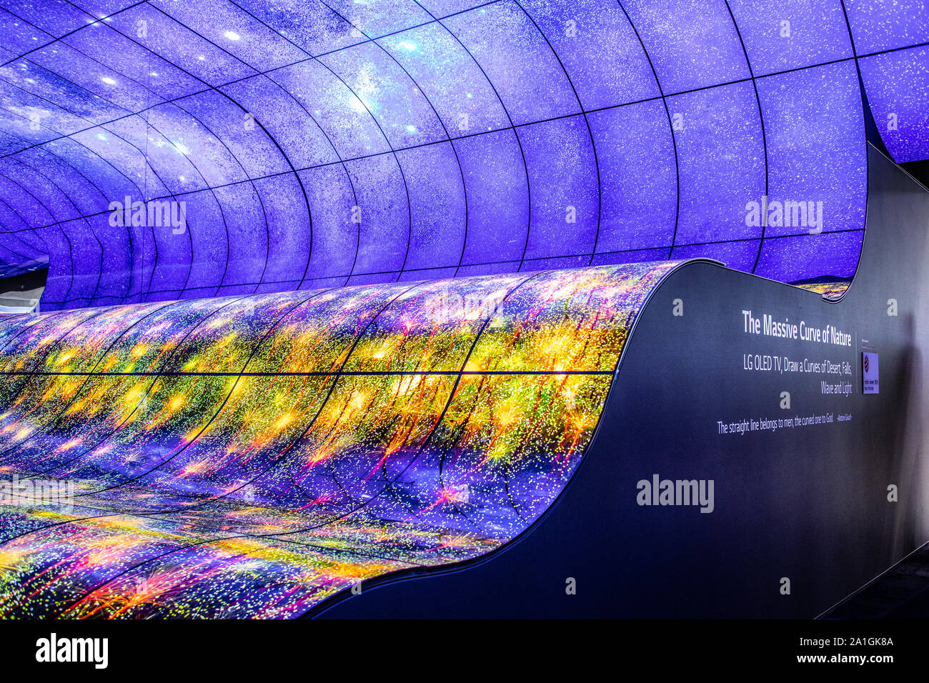 Berlin, Deutschland, 19.09.2019, LG-OLED-Ultra HD HDR 10 Smart Premium-TV auf dem Display, die Massiven Kurve der Natur, globale Innovationen zeigen IFA 2019 Stockfoto