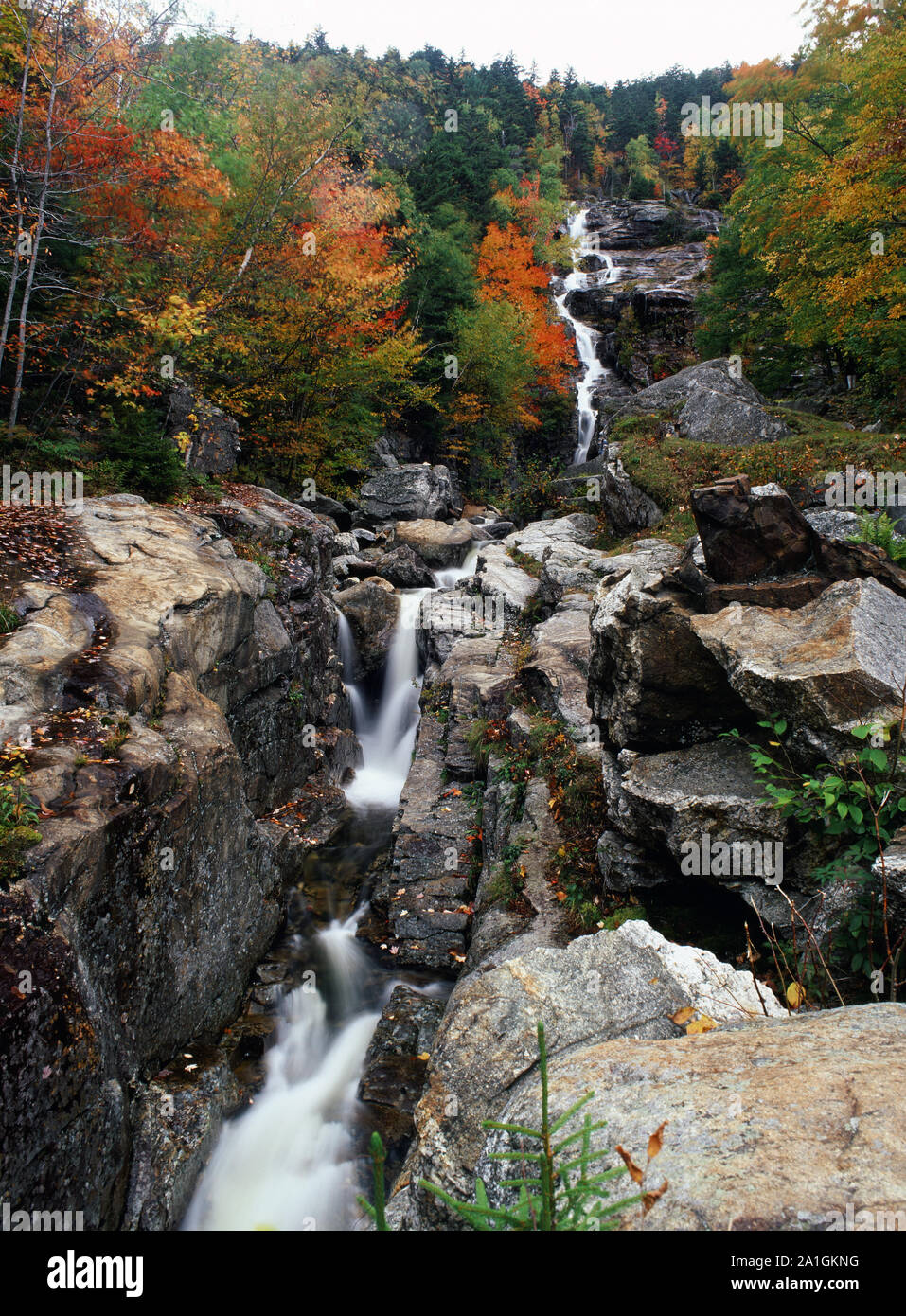 Silberkaskade der Weißen Berge Stockfoto